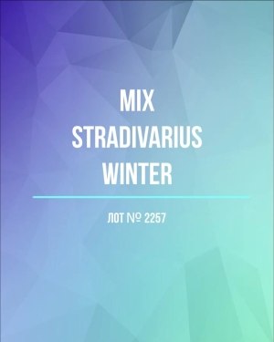 Купить STRADIVARIUS Winter mix#15 кг, ЛОТ №2257 оптом в Махачкале и Дагестане