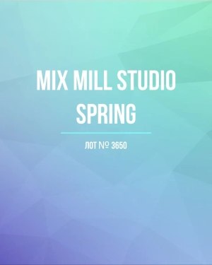 Купить MILL STUDIO Spring mix#15 кг, ЛОТ №3650 оптом в Махачкале и Дагестане