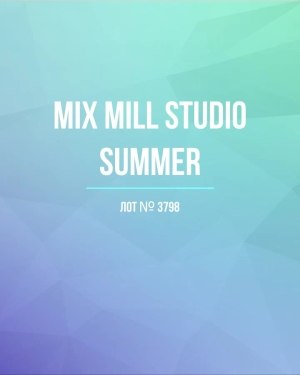 Купить MILL STUDIO Summer mix#15 кг, ЛОТ №3798 оптом в Махачкале и Дагестане