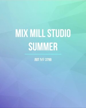 Купить MILL STUDIO Summer mix#15 кг, ЛОТ №3799 оптом в Махачкале и Дагестане