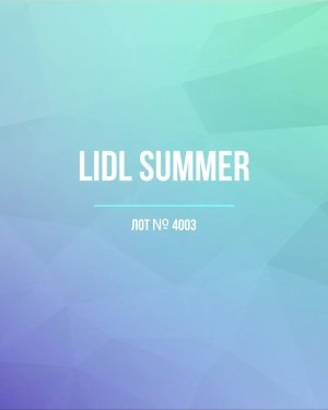 Купить LIDL Summer#20 кг, ЛОТ №4003 оптом в Махачкале и Дагестане