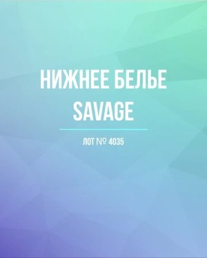 Купить Нижнее белье Savage, 50 шт, ЛОТ №4035 оптом в Махачкале и Дагестане