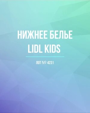 Купить Нижнее белье LIDL Kids#5 кг, ЛОТ №4231 оптом в Махачкале и Дагестане