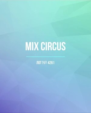 Купить CIRCUS mix #13 кг, ЛОТ №4261 оптом в Махачкале и Дагестане