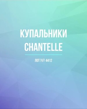 Купить Купальники Chantelle#23 шт, ЛОТ №4412 оптом в Махачкале и Дагестане