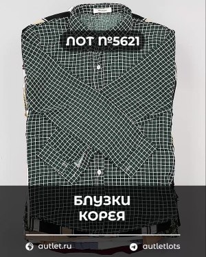 Купить Блузки Корея#20 шт, ЛОТ №5621 оптом в Махачкале и Дагестане