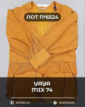Купить YA YA 062024#39 шт, ЛОТ №6524 оптом в Махачкале и Дагестане
