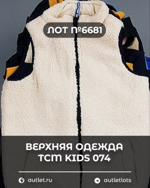 Купить Верхняя одежда TCM kids 074#7 кг, ЛОТ №6681 оптом в Махачкале и Дагестане