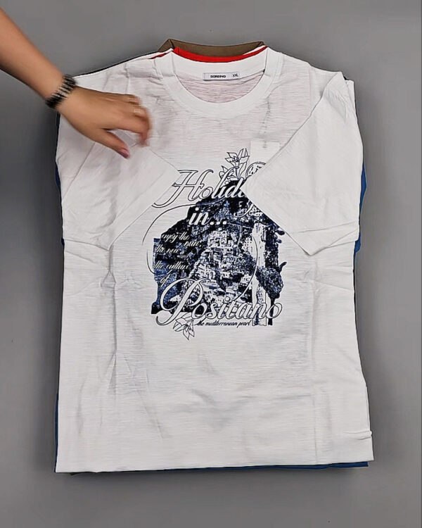 Фотография  866 - Футболки мужские C-3141 (MEN T-shirt Sorbino) #4,7 кг, ЛОТ №8833 оптом в Махачкале и Дагестане