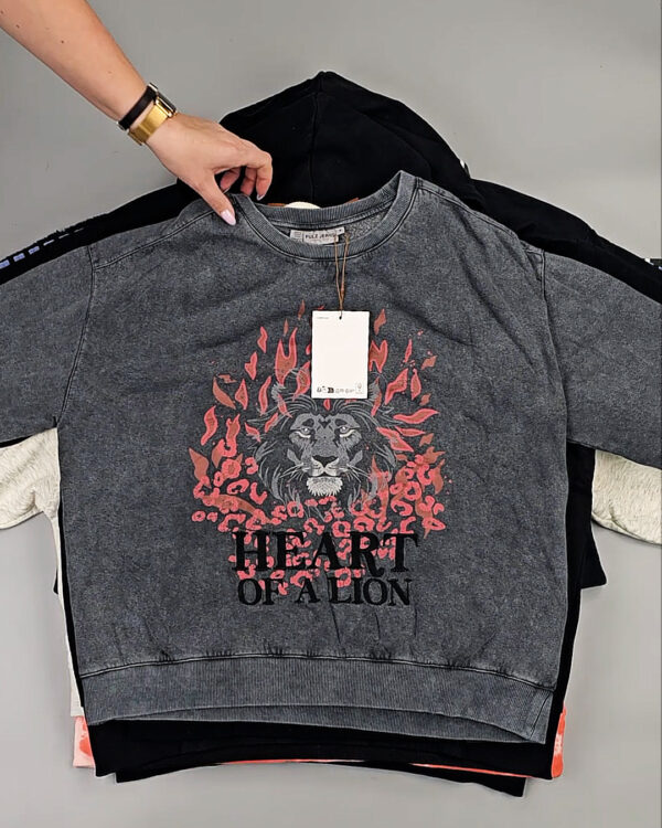 Фотография  259 - Толстовки Bestseller+DK 035#7 кг, ЛОТ СТ-9839 оптом в Махачкале и Дагестане